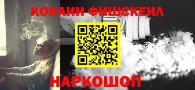мет Кингисепп
