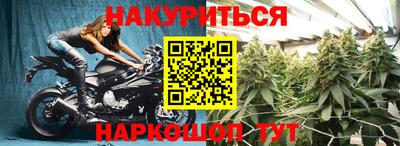 шишки Кимры