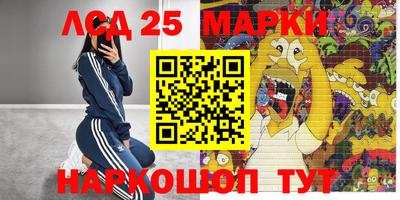 шишки Кимры