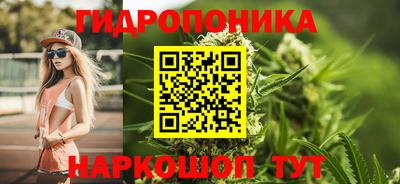 мет Кингисепп