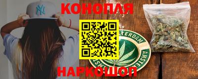 шишки Кимры
