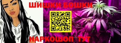 мет Кингисепп