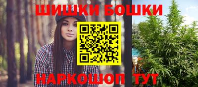 мет Кингисепп