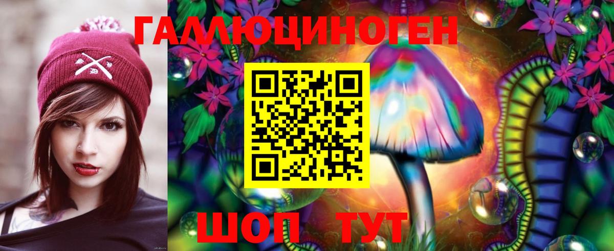Псилоцибиновые грибы Psilocybine cubensis Волоколамск