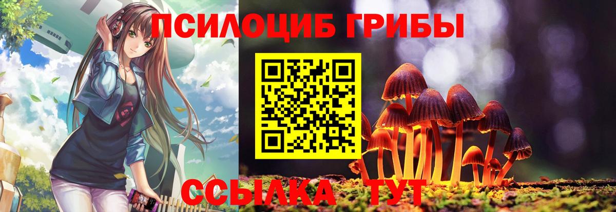 Псилоцибиновые грибы прущие грибы  Вход с VPN  где найти   Волоколамск 